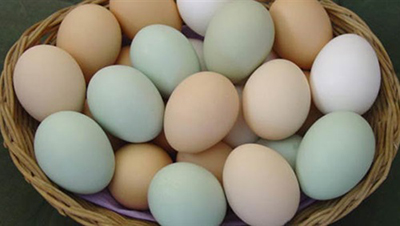 يازاماتا.. بَيْض يـابـاني بطَعْم و رائِحَـة الفَاكهة ..!