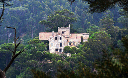 طنجة “أفضل مدينة غابوية”  والرّميلات تفوز بلواء التَميّز كَغـابـة الاستقبال و التَنزُه ..