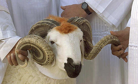 عيد الأضحى المبارك يوم الخميس 24 شتنبر ..