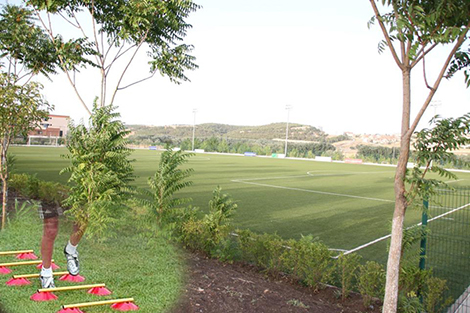 ترشيد النفقات وإنعاش المرافق الرياضية الوطنية