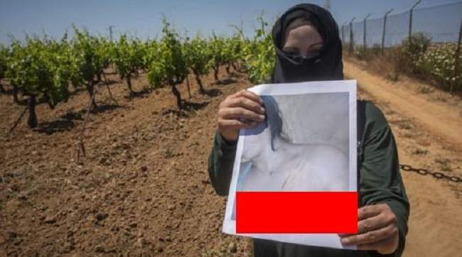 قافلة المعرة بين ويلفا وطنجة