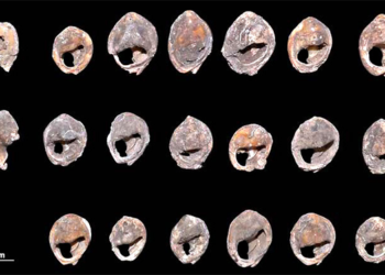 الشراكة الاستراتيجية المغربية الصينية.. مستجدات وآفاق واعدة..