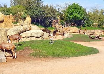 في انتظار إحداث متنزه وحديقة حيوانات بعروس الشمال