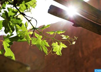 توقعات أحوال الطقس ليوم الأربعاء