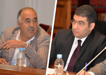 بوعزة يراسل بنسعيد ويطالب بإحداث مديرية للثقافة بشفشاون