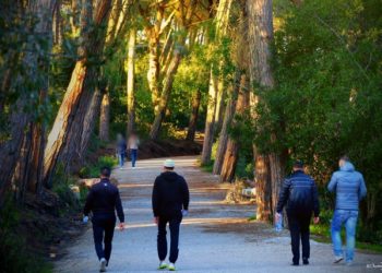 جماعة طنجة تصادق على نزع ملكية الأراضي لإحداث حديقة للحيوانات