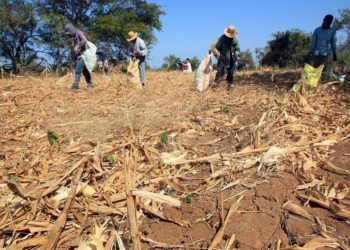 منذ 30 سنة: المغرب يواجه أسوأ موسم في شح الأمطار