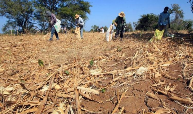 منذ 30 سنة: المغرب يواجه أسوأ موسم في شح الأمطار