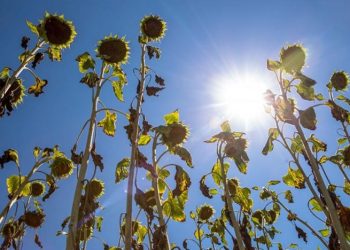 توقعات أحوال الطقس اليوم الجمعة