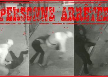 توقيف عشريني لتورطه في قضية تتعلق بالسرقة