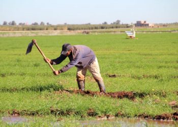 البام: يشيد بعناية الملك تجاه العالم القروي بعد تأخر التساقطات