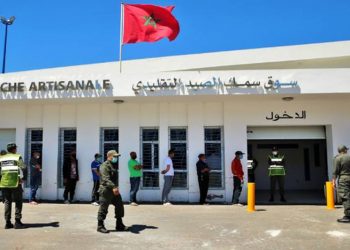 حملة طبية بالمضيق والفنيدق لفائدة مهنيي الصيد البحري