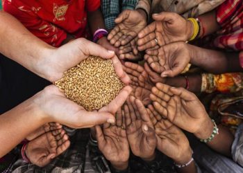 وزير الفلاحة: السيادة الغذائية توجد في صلب الإستراتيجية الحكومية