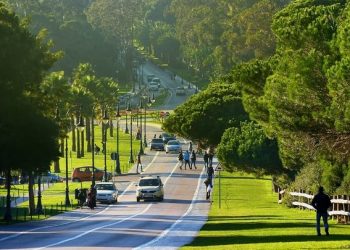 توقعات أحوال الطقس