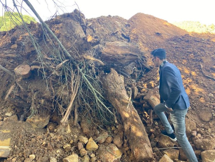 جماعة طنجة تدخل على خط قطع أشجار بغابة السلوقية