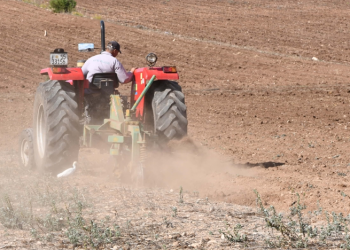 المديرية الجهوية للفلاحة تتخذ سلسلة من التدابير للحد من تأخر التساقطات