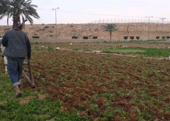 التساقطات المطرية الأخيرة تحيي الآمال