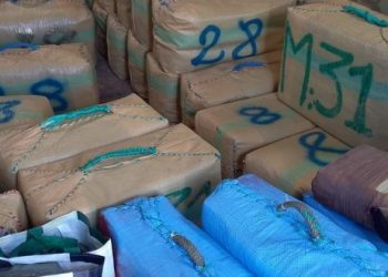 طنجة.. حجز طنين و98 كلغ من مخدر الحشيش