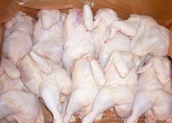 طنجة.. حجز طن و953 كيلوغراما من لحوم  الدواجن الفاسدة