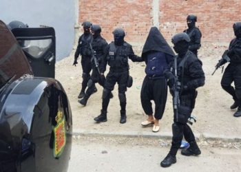 توقيف شخص موالي لتنظيم داعش الإرهابي