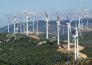 جهة طنجة رائدة في الطاقات المتجددة