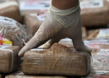 ميناء طنجة المدينة.. إجهاض محاولة تهريب 67 كيلوغرام من مخدر الكوكايين