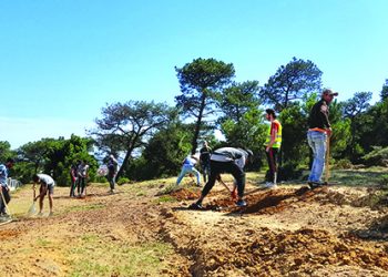 في الذكرى العالمية للبيئة: برنامج “أوراش” يساهم في سلامة الغابات بطنجة