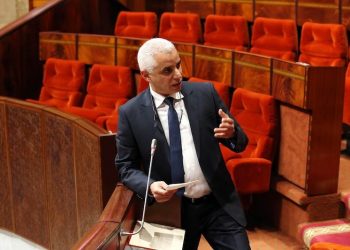 آيت الطالب: الوزارة أعدت خطة لمواجهة مرض جدري القردة