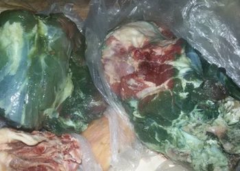 نصائح حول ذبح وتوضيب كبش الأضحية