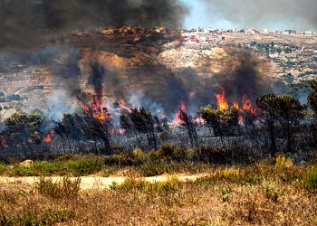 اتهامات تلف حرائق نشبت مع غفلة العيد