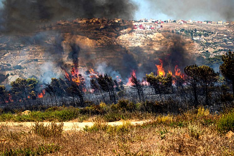 اتهامات تلف حرائق نشبت مع غفلة العيد