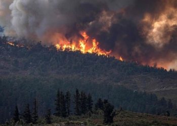 إقليم تطوان.. اندلاع حريق بالمجال الغابوي المتواجد بالنفوذ الترابي لجماعة بني ليت، قيادة بني حسان