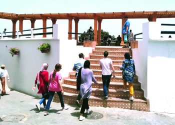 صورة وتعليق..