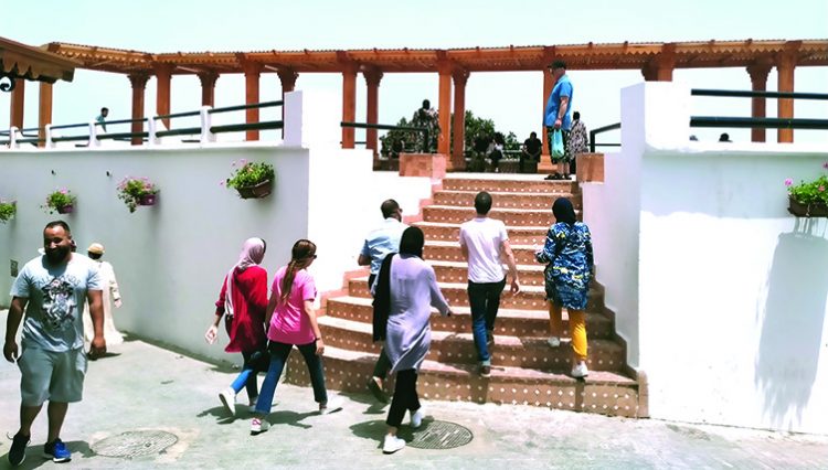 صورة وتعليق..