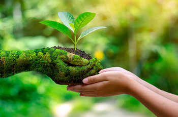 الناظور.. الدورة السادسة للأسبوع الأخضر ما بين 22 و28 يوليوز الجاري