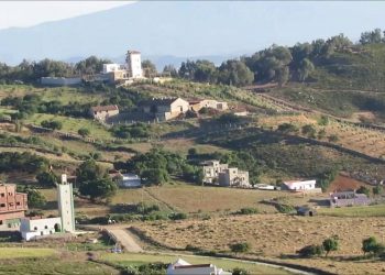 الفحص أنجرة .. تقديم دعم مالي لتعاونيات نسائية في إطار برنامج “جهات ناهضة”