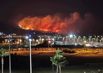 فتح بحث قضائي معمق حول ظروف نشوب حريق غابة “كدية الطيفور” بالمضيق