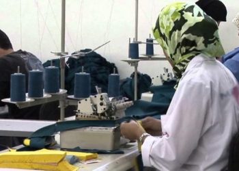 المغرب: إحداث 48.001 مقاولة عند متم يونيو 2022