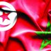 تصرف عدائي وغير مبرر.. الخارجية المغربية تكشف المغالطات التونسية