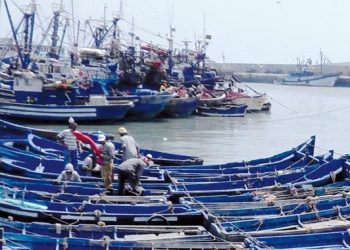 طنجة : مهنيو الصيد البحري يدعون الى تأهيل التعاونيات في مجال التسويق والتدبير الإداري و الاستثمار