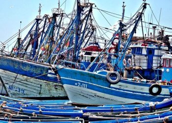 طنجة .. يوم دراسي لبحث آليات النهوض بالتعاونيات العاملة في قطاع الصيد البحري