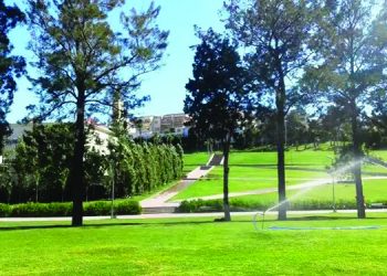 رغم الجفاف.. مساحات خضراء جديدة بطنجة واكزناية وأصيلة