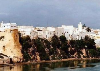 دولة بورغواطة ومكانتها الدينية والسياسية في المغرب