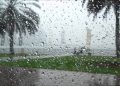 هذه مقاييس الأمطار المسجلة بالمملكة خلال الـ24 ساعة الماضية