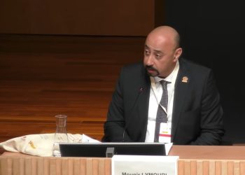 ليموري: الجماعات الترابية تتحمل مسؤوليتها كاملة في تحقيق أهداف التنمية المستدامة