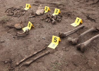 العروي.. تحديد مكان دفن عظام بشرية داخل بقايا مسكن مهجور بمنطقة “بوخنوز”