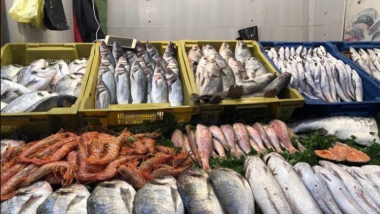 أسعار بيع السمك بالتقسيط بأسواق جهة طنجة – تطوان – الحسيمة