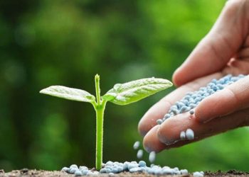 الرفع من إنتاج الأسمدة مع تحقيق الحياد الكربوني.. معادلات “صعبة” يخوضها فوسفاط المغرب في سبيل البيئة