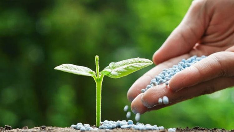 الرفع من إنتاج الأسمدة مع تحقيق الحياد الكربوني.. معادلات “صعبة” يخوضها فوسفاط المغرب في سبيل البيئة