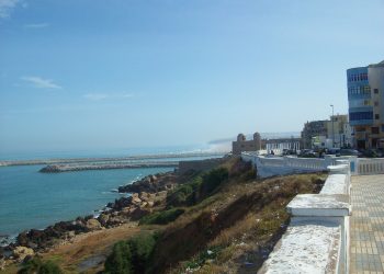 العرائش .. لقاءات تربوية في التوجيه المدرسي والجامعي والمهني